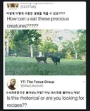 어떻게 이런 귀중한 생명을 먹을 수 있죠?????