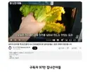 97만 유튜버 영상 카피 한 143만 유투버
