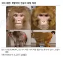 간헐적 단식은 건강에 좋음.jpg