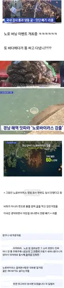 국산 위고비 근황
