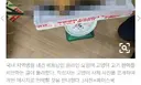 털 벗긴 고양이 사체 저울에…국내 베트남인 모임에 뜬 고기 판매글