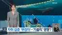 말 많던 부산 상어 부캉이 근황